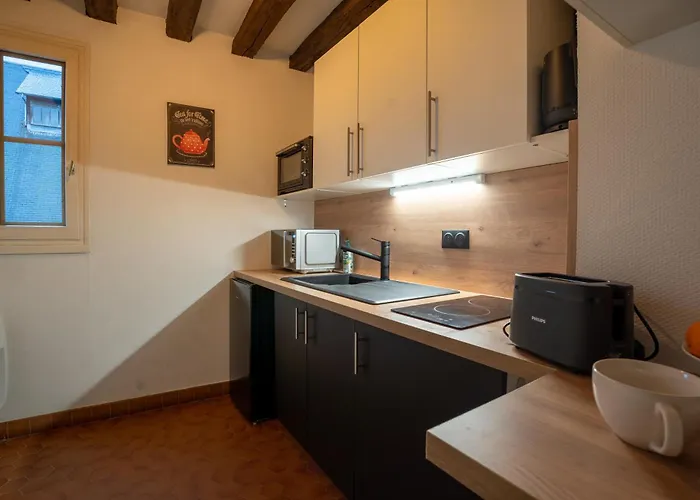Appartement Centre 50 M2 Rue Sainte Croix Des Pelletiers *