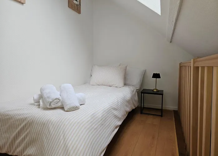 Appartement Centre 50 M2 Rue Sainte Croix Des Pelletiers